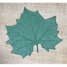 Rubber Leaf Forms